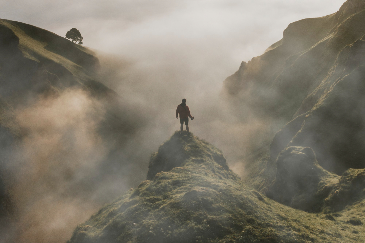 Themes of love survival and ambition